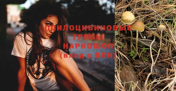 ГАЛЛЮЦИНОГЕННЫЕ ГРИБЫ Горняк
