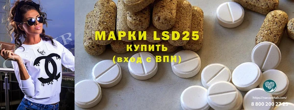 ГАЛЛЮЦИНОГЕННЫЕ ГРИБЫ Горняк
