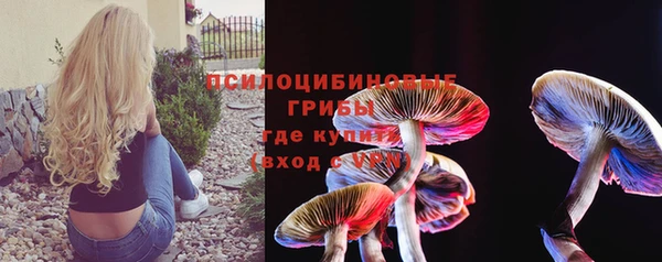 ГАЛЛЮЦИНОГЕННЫЕ ГРИБЫ Горняк