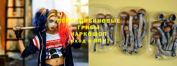герыч Горнозаводск