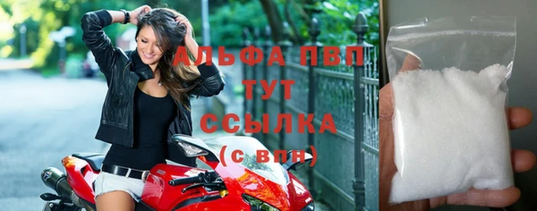 ГАЛЛЮЦИНОГЕННЫЕ ГРИБЫ Горняк