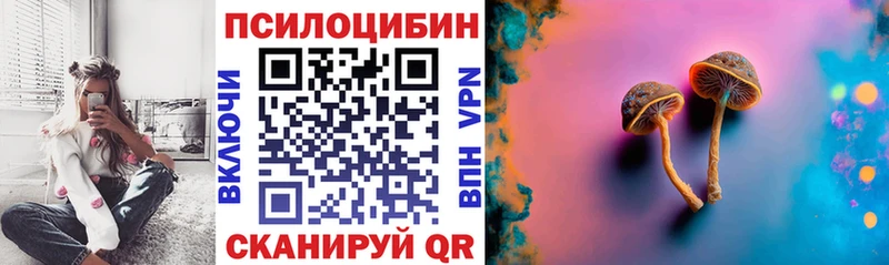 Галлюциногенные грибы MAGIC MUSHROOMS  Куровское 
